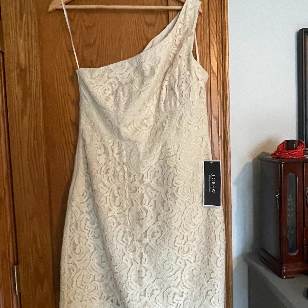 JCrew One Shoulder Formal Dress in Leavers lace